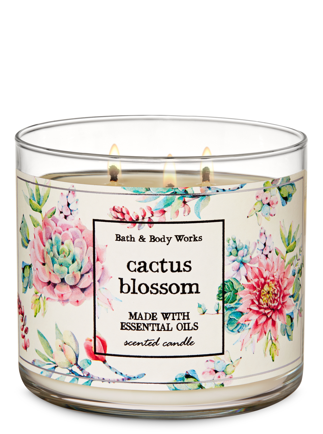 bath and body works cactus candle holder