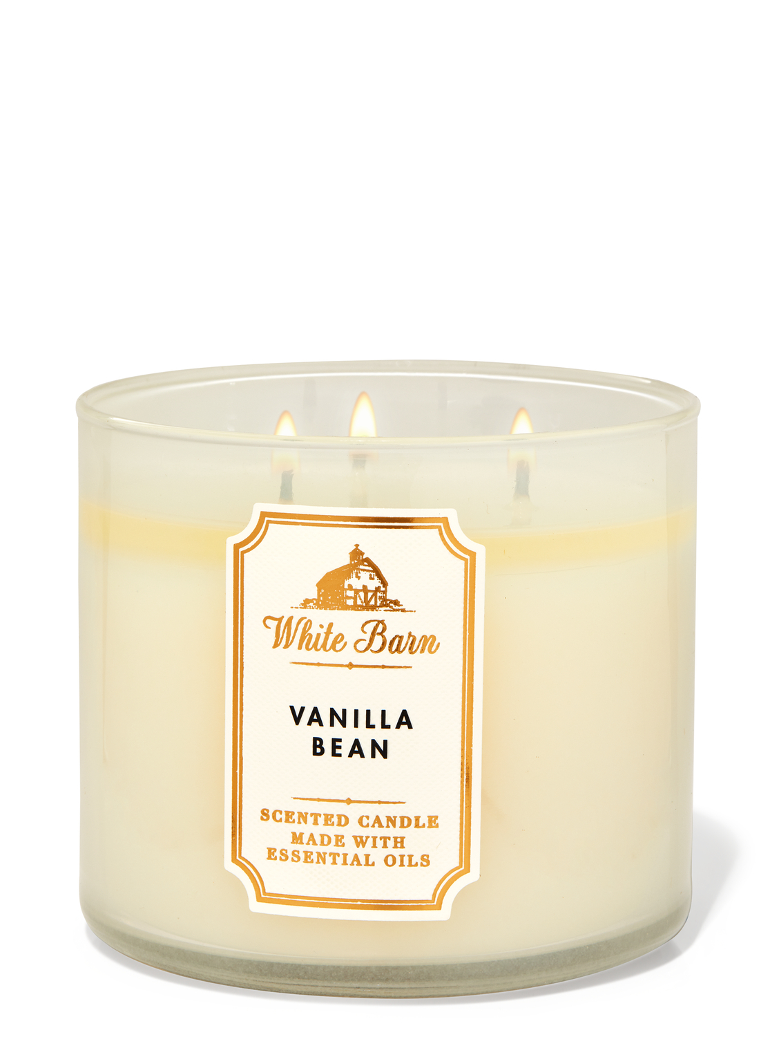 vanilla bean candle bath and body works