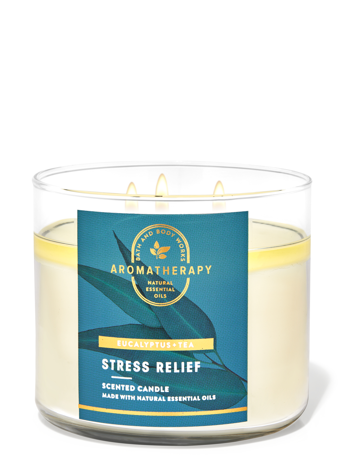 Eucalyptus Tea 3-Wick Candle